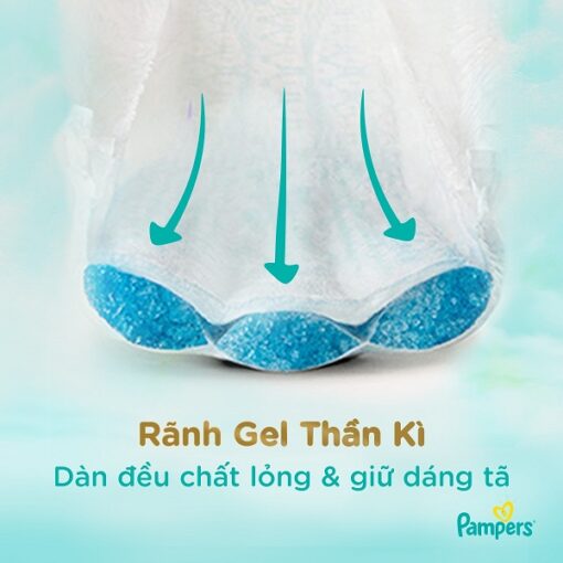 bim quan pampers cao cap nhat ban m48 5